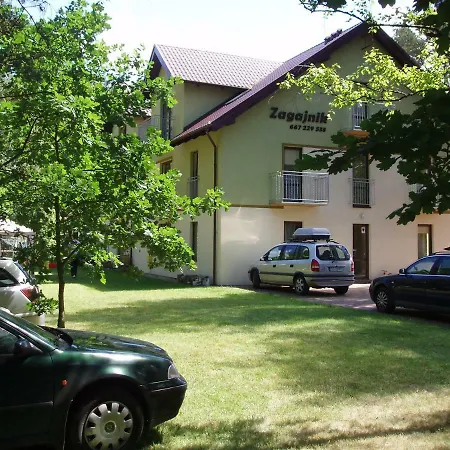 Zagajnik * Dębki